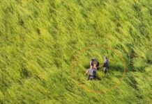 PM usa helicóptero Águia para prender ladrão em área de mata, em Guzolândia