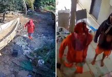 Criminosos furtam e destroem chácara em Potirendaba