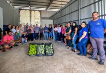 Agricultura familiar: Prefeitura retoma Programa de Aquisição de Alimentos