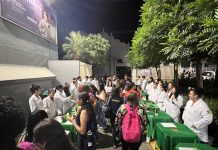 Curso de Farmácia apresenta benefícios das Plantas Medicinais