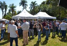 DIA DE CAMPO – “Conversando sobre Silagem”