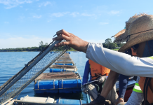 Aquishow 2024: ADM vence a 5ª edição do Prêmio Inovação Aquícola na categoria sustentabilidade