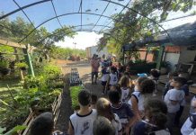 Rede municipal de ensino desenvolve projeto de alimentação saudável