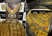 DISE apreende 208 kg de maconha na Rodovia Euclides da Cunha