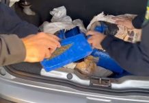 PRF prende dois homens com 95 tijolos de maconha na BR-153