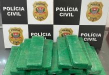 Mulher é presa por tráfico de drogas em Santa Fé do Sul