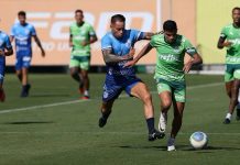 Palmeiras goleia em jogo-treino com Dudu e Bruno Rodrigues em campo