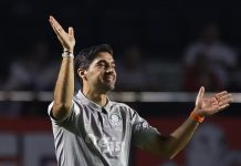 Abel, do Palmeiras, é eleito 13º melhor técnico do mundo por revista inglesa