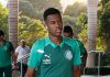 Palmeiras se acerta com Chelsea e fica a detalhes de fechar venda de Estêvão por quase R$ 350 milhões