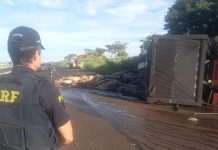 Caminhão carregado com couro bovino tomba em rodovia de Rio Preto