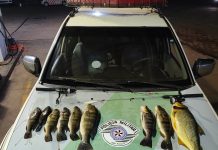 Dupla é multada pela Polícia Ambiental por pescar em local proibido