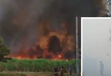 Incêndio de grande proporção atingiu canavial de Tanabi por três horas
