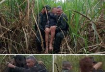 Idosa é encontrada depois de três dias em canavial de Glicério