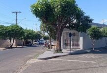 Criança de 5 anos é deixada sozinha em ponto de ônibus na volta da escola em Buritama