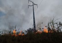 Neoenergia Elektro reforça alerta para riscos de queimadas próximas à rede elétrica
