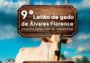 9º Leilão de Gado em Álvares Florence será neste mês