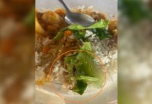 Aluno encontra escorpião na merenda escolar em General Salgado