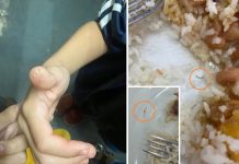 Alunos de escola estadual de Votuporanga encontram larvas na merenda