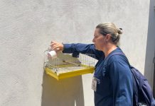 Mutirão contra a Dengue chega ao Colinas neste sábado