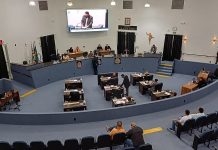 Vereadores voltam a pedir criação de memorial às vítimas da Covid-19