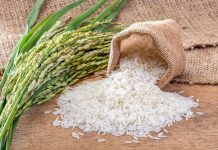 Preço do arroz sobe 11,31% nos mercados entre abril e maio
