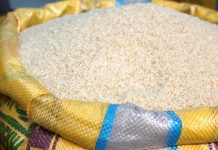 Brasil tem arroz branco mais caro do mundo em maio, diz FAO