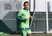 Dudu treina com o elenco no Palmeiras e pode ser relacionado contra o Vasco
