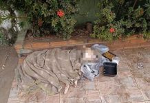 Polícia Ambiental constata maus-tratos e multa tutora em Fernandópolis