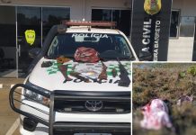 Polícia Ambiental prende caçadores com armas e capivara abatida