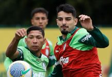 Abel encerra preparação e estuda mudanças no Palmeiras