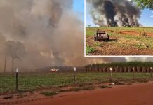 Incêndio atinge canavial de usina de álcool em Castilho