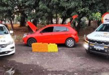 Homem é preso com 150 kg de maconha em rodovia de Mirassol