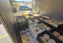 Polícia apreende carga com quase uma tonelada de falso queijo da canastra em rodovia de Rio Preto