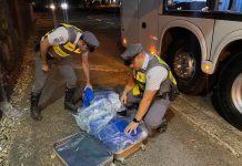 Mulher é presa transportando 52 tabletes de maconha em ônibus
