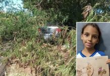 Menina de 8 anos morre após carro bater em árvore em Riolândia