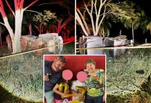 Casal morre e criança fica ferida após acidente na região