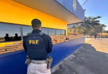 Jovem é preso com 164 quilos de maconha em rodovia de Rio Preto