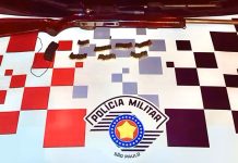 Pintor é preso por porte ilegal de arma e com capivara morta em Pereira Barreto