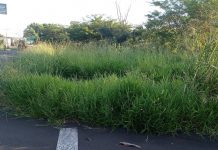 Prefeitura notifica proprietários para limpeza de terrenos em Votuporanga