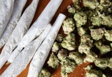 TJ aplica tese do STF e absolve homem preso com maconha em Votuporanga