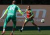 Sem Estêvão, Palmeiras prepara duas voltas contra o Flamengo