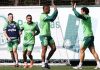 Palmeiras trabalha para ter cinco novidades contra o Botafogo