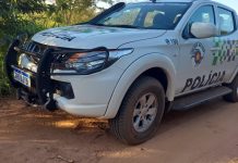 Polícia Ambiental intensifica proteção das florestas paulistas