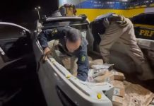 Homem é preso com mais de 80 kg de drogas em rodovia de Rio Preto