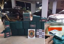 Polícia apreende 615 kg de cocaína escondido no meio de carga de carne em Olímpia