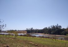 Clima de deserto: Votuporanga registra nível de umidade do ar abaixo de 20%; represa em baixa