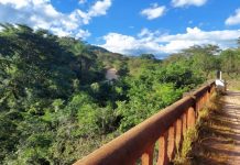 Conheça os caminhos da Estrada Real