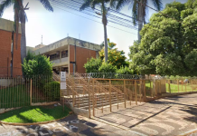 Condenado em Votuporanga, ex-presidiário por amarrar cachorro em árvore