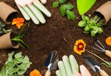Terminam nesta sexta-feira as inscrições gratuitas para curso de Jardinagem