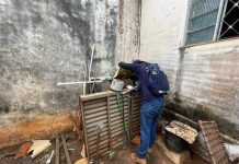 Bairros da zona norte recebem Mutirão contra a Dengue neste sábado
